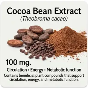 Cocoa Bean Extract