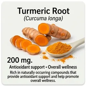 Turmeric Root